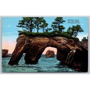 Postcard Washington Elephant Rock on the Coast Olympic Peninsula Linen c1940s WA